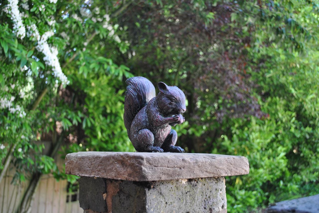 Squirrel Barn Villa Milwich Exterior foto